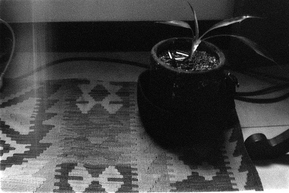 01 Rafael Peyré - Ilford HP5 Plus 400 por Arca Film Lab (Marzo 2024)