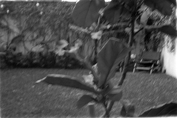 08 Rafael Peyré - Ilford HP5 Plus 400 por Arca Film Lab (Marzo 2024)