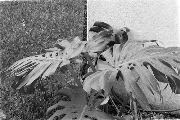 12 Rafael Peyré - Ilford HP5 Plus 400 por Arca Film Lab (Marzo 2024)