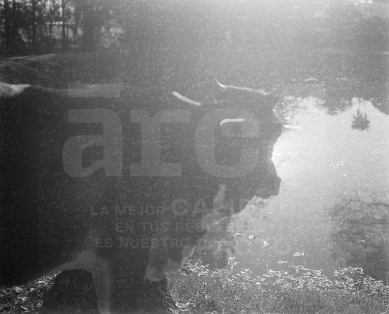 01 Fabriccio Díaz - Ilford HP5 400 Plus 120 por Arca Film Lab (Febrero 2024)