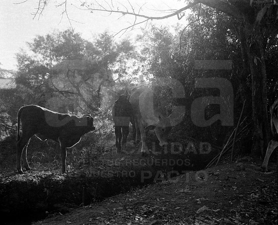 07 Fabriccio Díaz - Ilford HP5 400 Plus 120 por Arca Film Lab (Febrero 2024)