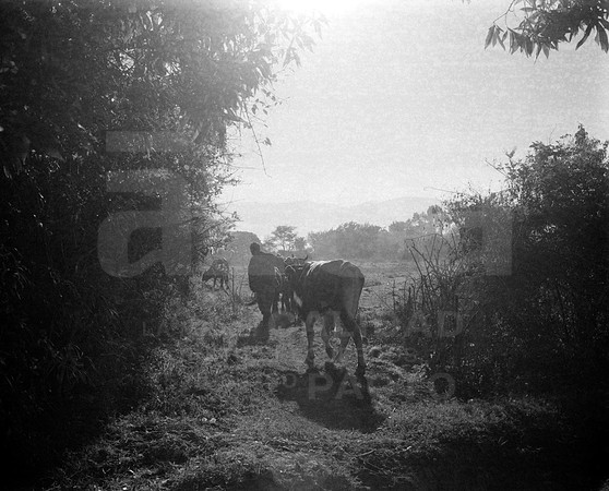 08 Fabriccio Díaz - Ilford HP5 400 Plus 120 por Arca Film Lab (Febrero 2024)
