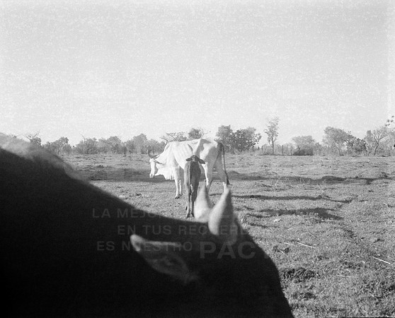 10 Fabriccio Díaz - Ilford HP5 400 Plus 120 por Arca Film Lab (Febrero 2024)