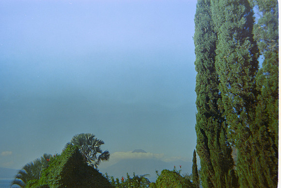 26 Sarah Chinchilla - Candido 200 por Arca Film Lab (Marzo 2024)