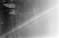01 Ari Martin - Rollei Retro 80s por Arca Film Lab (Marzo 2024)