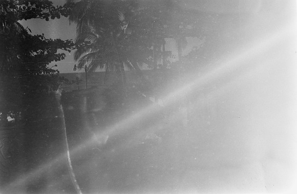01 Ari Martin - Rollei Retro 80s por Arca Film Lab (Marzo 2024)