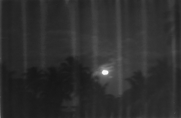 04 Ari Martin - Rollei Retro 80s por Arca Film Lab (Marzo 2024)