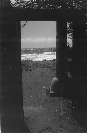 07 Ari Martin - Rollei Retro 80s por Arca Film Lab (Marzo 2024)