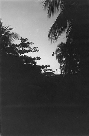 10 Ari Martin - Rollei Retro 80s por Arca Film Lab (Marzo 2024)