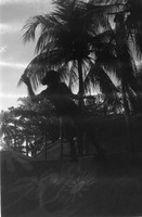 12 Ari Martin - Rollei Retro 80s por Arca Film Lab (Marzo 2024)