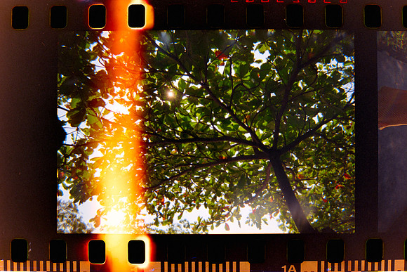 03 Fabriccio Díaz y Lucía Ramírez - Kodak Ultramax 400 - Expirado Enero 2014 por Arca Film Lab (Marzo 2024) - Santa Teresita