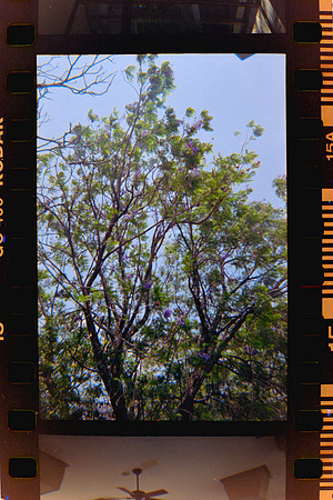 16 Fabriccio Díaz y Lucía Ramírez - Kodak Ultramax 400 - Expirado Enero 2014 por Arca Film Lab (Marzo 2024) - Santa Teresita
