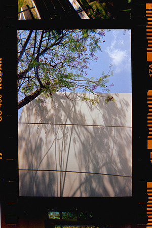 18 Fabriccio Díaz y Lucía Ramírez - Kodak Ultramax 400 - Expirado Enero 2014 por Arca Film Lab (Marzo 2024) - Santa Teresita
