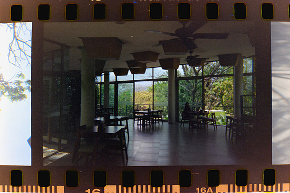17 Fabriccio Díaz y Lucía Ramírez - Kodak Ultramax 400 - Expirado Enero 2014 por Arca Film Lab (Marzo 2024) - Santa Teresita