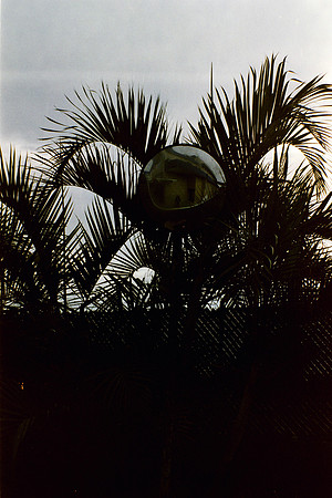22 Daniel Perez - Kodak Gold 200 por Arca Film Lab (Marzo 2024)