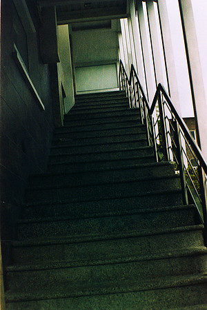 23 Daniel Perez - Kodak Gold 200 por Arca Film Lab (Marzo 2024)