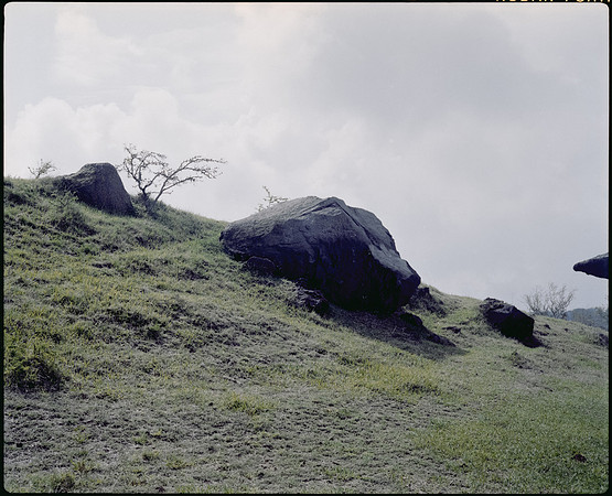 03 José Jiménez - Kodak Portra 400 por Arca Film Lab (Junio 2025) - Rollo 1111