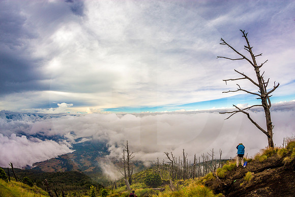 Majestuoso panorama