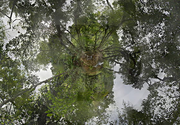 Planeta Semuc Champey