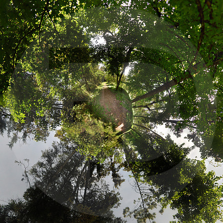 Bosque Posada del Quetzal