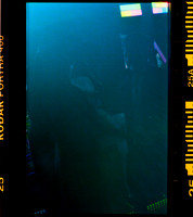 18 Gabby García - Kodak Portra 400 por Arca Film Lab (Marzo 2024)