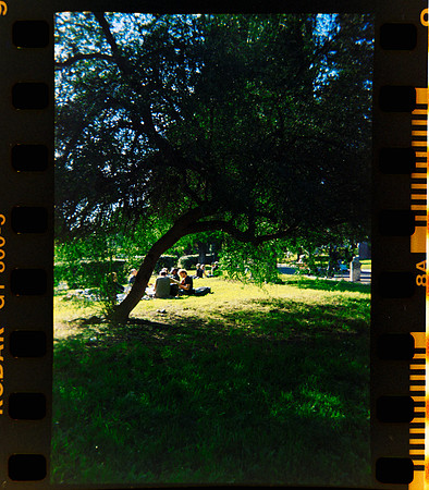 11 Estuardo Preza - Kodak 800 por Arca Film Lab (Marzo 2024)
