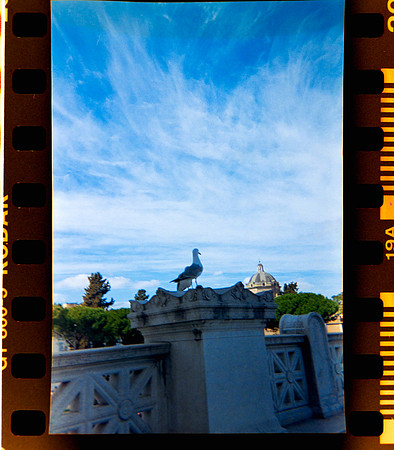 22 Estuardo Preza - Kodak 800 por Arca Film Lab (Marzo 2024)