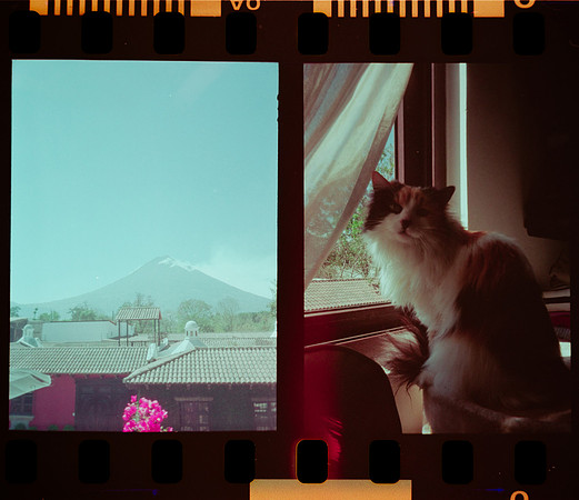 02 Isa Valladares - Kodak Ultramax 400 Half Frame por Arca Film Lab (Marzo 2024)