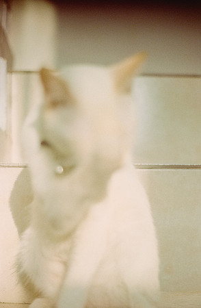 18 Abraham Castillo - Fujifilm 400 por Arca Film Lab (Junio 2025) - Rollo 1118