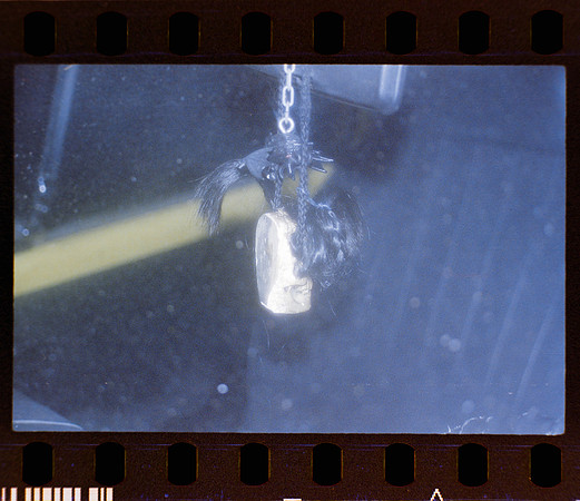 16 Fernanda Gonzáles - Reflx Lab 800T Push 3200 por Arca Film Lab (Mayo 2024) - Rollo 0049