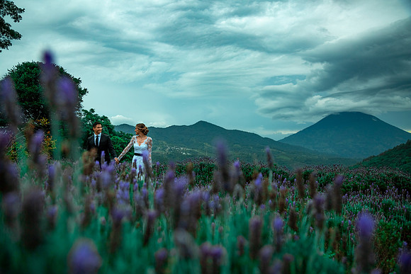 02 SESIÓN LAVANDA 2019 por Fabriccio Díaz_