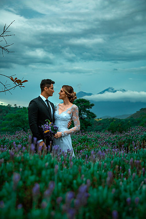 03 SESIÓN LAVANDA 2019 por Fabriccio Díaz_