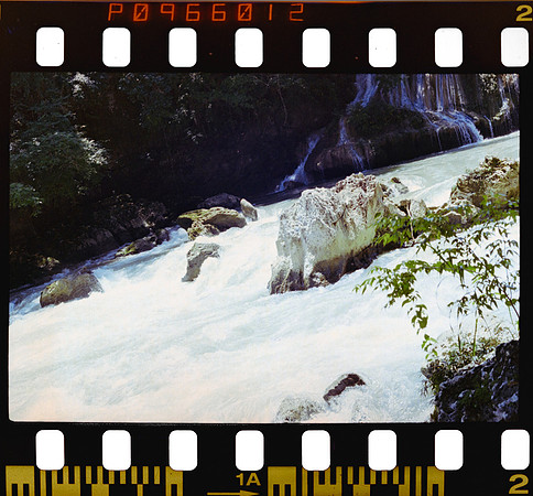 02 Yasemin Tocpan - Kodak Ultramax 400 por Arca Film Lab (Octubre 2024) - Rollo 0392