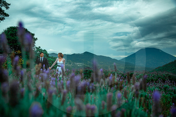 02 SESIÓN LAVANDA 2019 por Fabriccio Díaz_