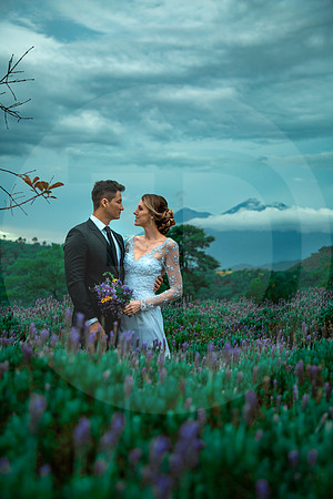 03 SESIÓN LAVANDA 2019 por Fabriccio Díaz_