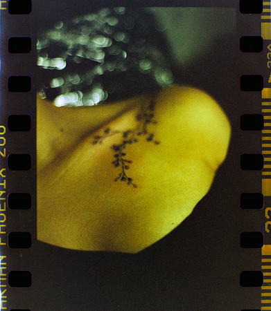 04 Durden - Harman Phoenix 200 por Arca Film Lab (Marzo 2024)
