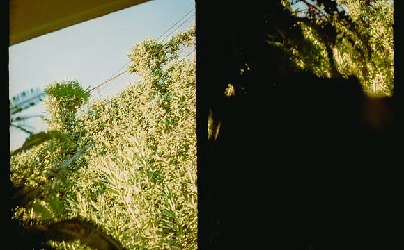 37 Natalia Mendoza - Kodak Gold 200 por Arca Film Lab (Abril 2025) - Rollo 0931