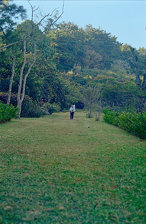26 Gonzalo Llarena - Kodak Gold 200 por Arca Film Lab (Febrero 2025) - Rollo 0738