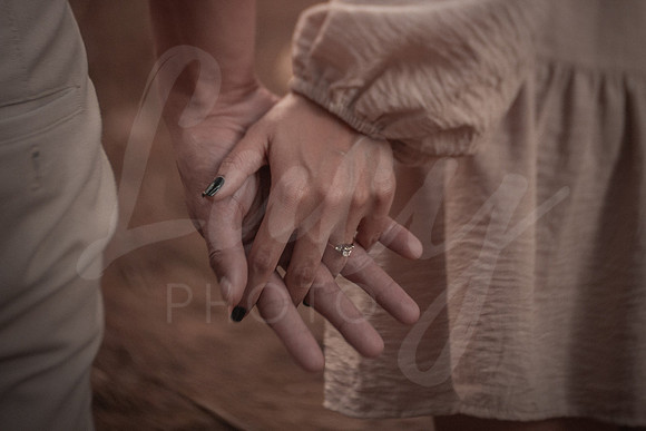 18 Gerardo y Vanessa - Save the Date por Lu Photo Studio (Marzo 2024)