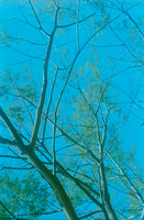 19 Natalia Crodon - Kodak Proimage 100 por Arca Film Lab (Abril 2025) - Rollo 0948