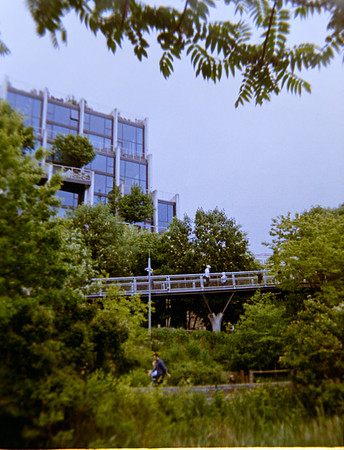 11 Luis Pedro Titus - Kodak Ultramax 400 por Arca Film Lab (Junio 2024) - Rollo 0092