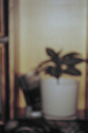 24 Guillermo López - Kodak Ultramax 400 por Arca Film Lab (Abril 2024)