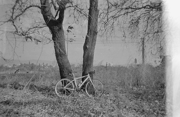 15 Elida Arreaga - Ilford HP5+ 400 por Arca Film Lab (Septiembre 2024) - Rollo 0361