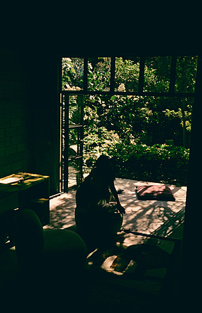 18 Jazmine Sousa - Cinestill 400D por Arca Film Lab (Febrero 2025) - Rollo 0866