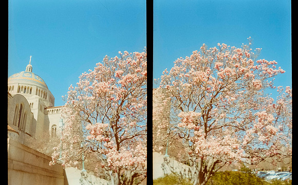 08 Jimena Sánchez - Kodak Gold 200 por Arca Film Lab (Mayo 2025) - Rollo 0990