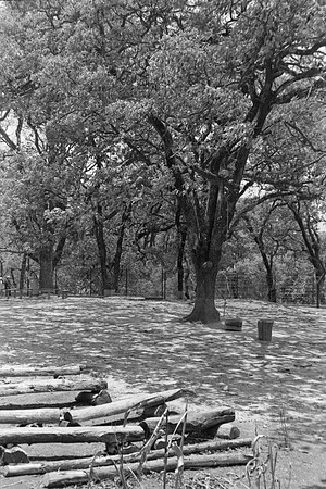 05 Omar Véliz - Kodak TMax 400 por Arca Film Lab (Mayo 2024) - Rollo 0059