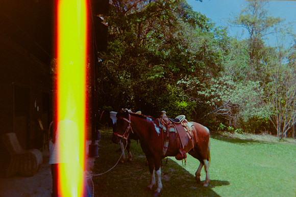 24 Steven Bickford - Fujifilm X-TRA 400 #1 por Arca Film Lab (Abril 2024)