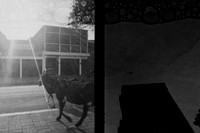 09 Chango - Ilford HP5 Plus 400 Half Frame por Arca Film Lab (Abril 2024)