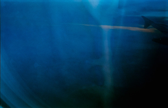 06 Caleb Rodríguez - Kodak Ultra 400 por Arca Film Lab (Enero 2025) - Rollo 0576