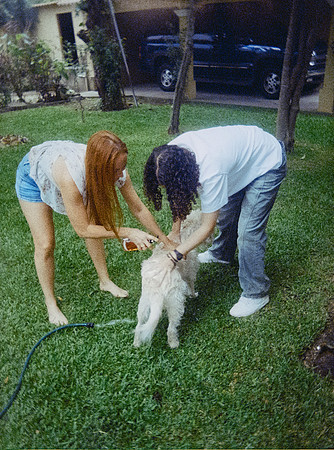 21 Sebastián Barillas - Kodak Ultramax 400 por Arca Film Lab (Febrero 2025) - Rollo 0783